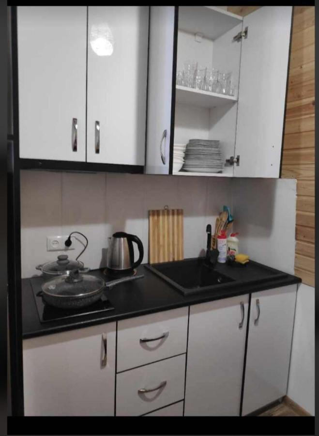 Appartamento Mountain Dream House Gudauri Esterno foto